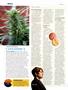 Page: - 30 | High Times