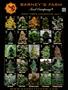 Page: - 45 | High Times