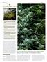 Page: - 56 | High Times