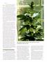 Page: - 59 | High Times