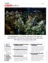 Page: - 6 | High Times