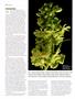 Page: - 64 | High Times