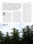 Page: - 74 | High Times
