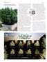 Page: - 82 | High Times