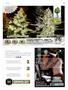 Page: - 87 | High Times