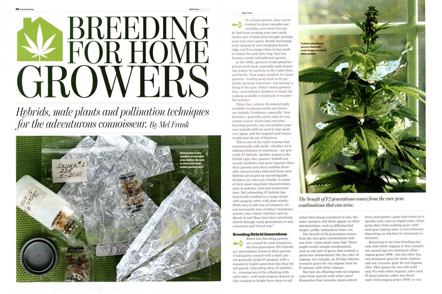 BREEDING FOR HOME GROWERS