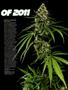 Page: - 11 | High Times