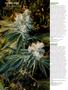 Page: - 18 | High Times
