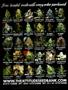 Page: - 2 | High Times
