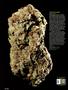 Page: - 22 | High Times