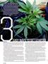 Page: - 24 | High Times