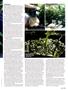 Page: - 25 | High Times