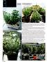 Page: - 30 | High Times