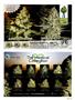 Page: - 31 | High Times