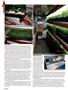 Page: - 36 | High Times