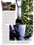 Page: - 38 | High Times