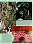 Page: - 47 | High Times