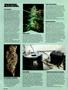 Page: - 52 | High Times
