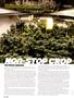 Page: - 60 | High Times