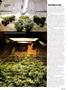 Page: - 61 | High Times