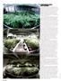 Page: - 62 | High Times