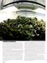 Page: - 64 | High Times