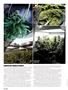 Page: - 66 | High Times