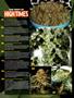 Page: - 8 | High Times