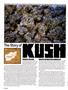 Page: - 84 | High Times