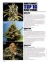 Page: - 86 | High Times