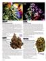 Page: - 88 | High Times