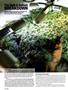 Page: - 94 | High Times