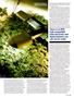 Page: - 95 | High Times