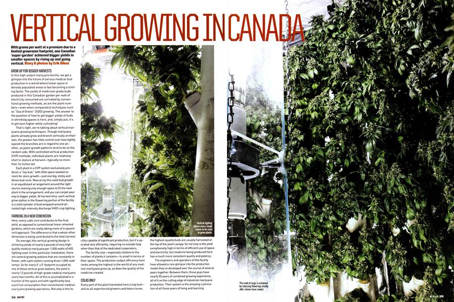 VERTICAL GROWING IN CANADA