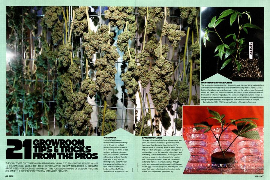 21 GROWROOM TIPS & TRICKS FROM THE PROS