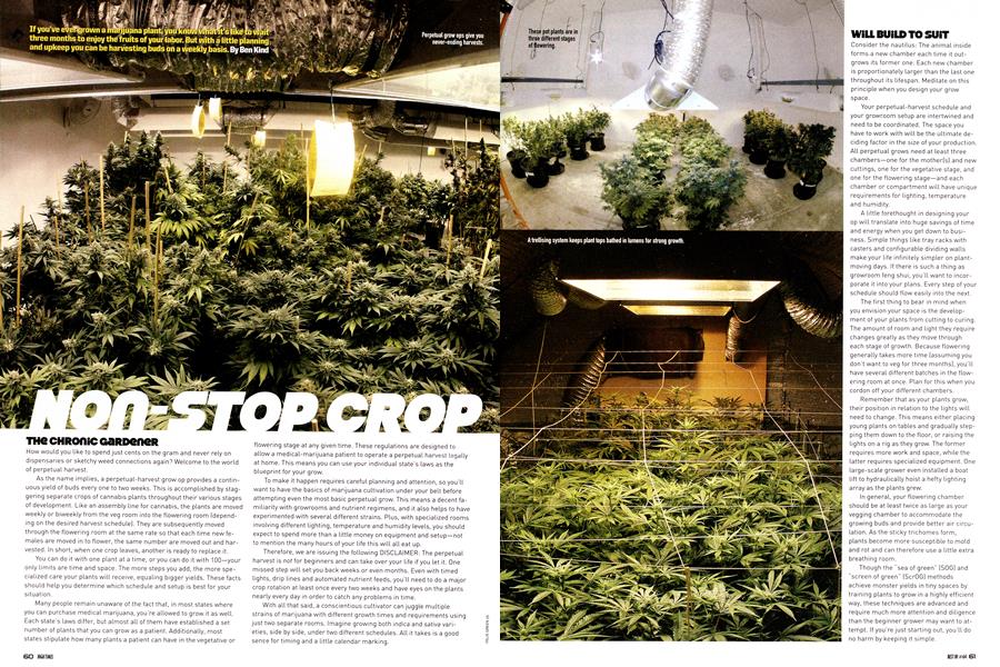 NON-STOP CROP