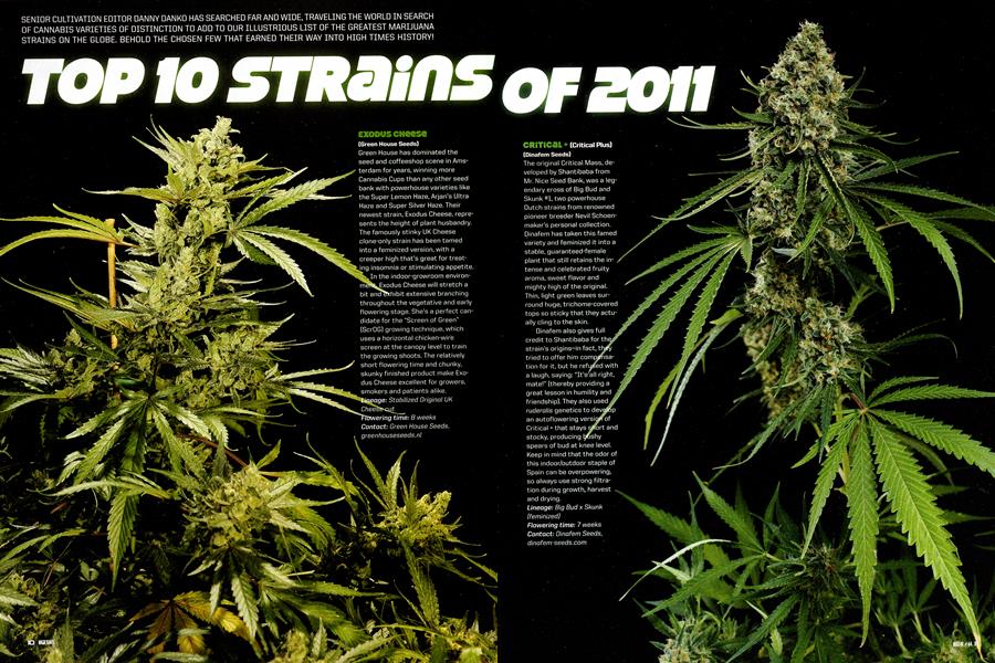 TOP 10 STRAINS OF 2011