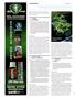 Page: - 102 | High Times