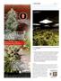 Page: - 104 | High Times