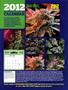 Page: - 11 | High Times