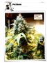 Page: - 120 | High Times