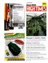 Page: - 126 | High Times