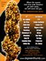 Page: - 127 | High Times