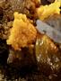 Page: - 18 | High Times