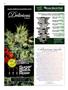 Page: - 44 | High Times
