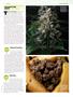 Page: - 49 | High Times
