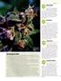Page: - 50 | High Times