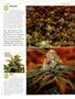 Page: - 51 | High Times