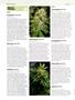 Page: - 52 | High Times