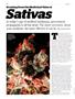 Page: - 62 | High Times